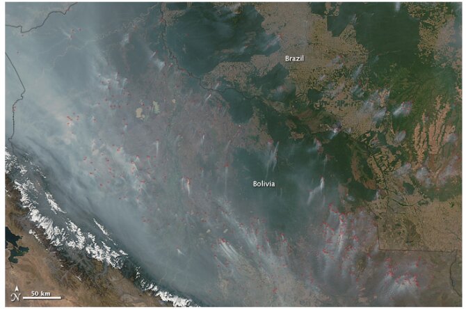 Global carbon emissions from deforestation reveal surprisingly stable carbon dioxide uptake by land and oceans_62387f876e6ba.jpeg