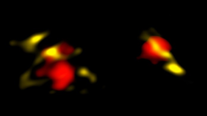 two areas of yellow and red blobs on black background.