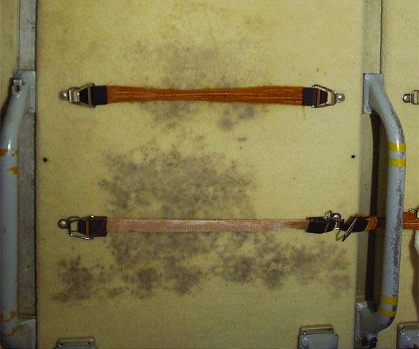 Self-cleaning spacecraft surfaces to combat microbes_628cd99993d44.jpeg