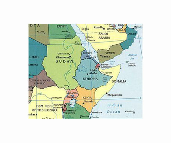 China offers to mediate Horn of Africa disputes_62b1c3968c8b3.jpeg