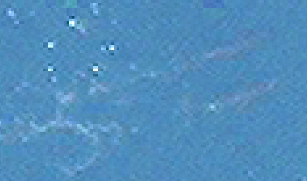 Whale images used for artificial intelligence research_62a1f18366c6b.jpeg