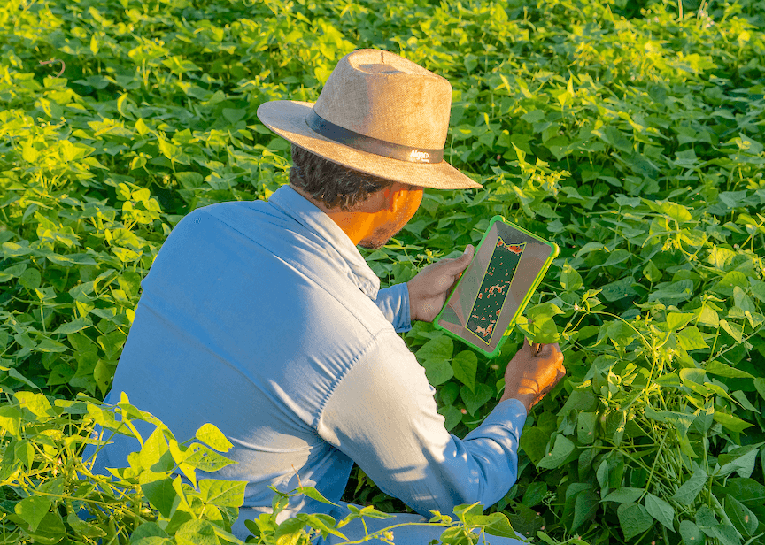 Syngenta’s commercial digital tool uses satellite images detecting Nematodes creating $150 billion in crop losses_6336e3efe4cd4.png