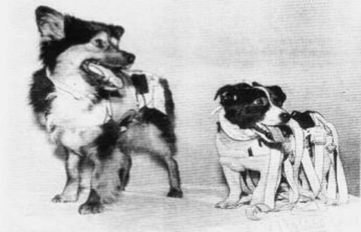 veterok-ugolyok-520x334