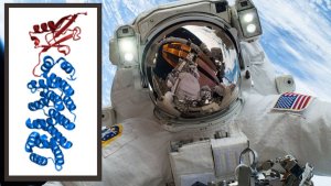 Microgravity in space can alter human cells. We now know how_6425780d5c394.jpeg