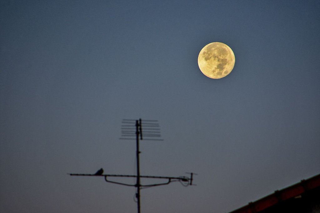 Harvest moon 2023, the last supermoon of the year, kicks off fall stargazing on Sept. 29_6514519bc310c.jpeg