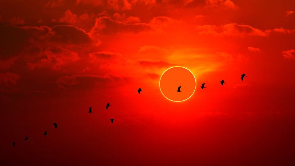 Annular solar eclipse will turn the sun into a spectacular ‘ring of fire’ this week_65240865bac91.jpeg