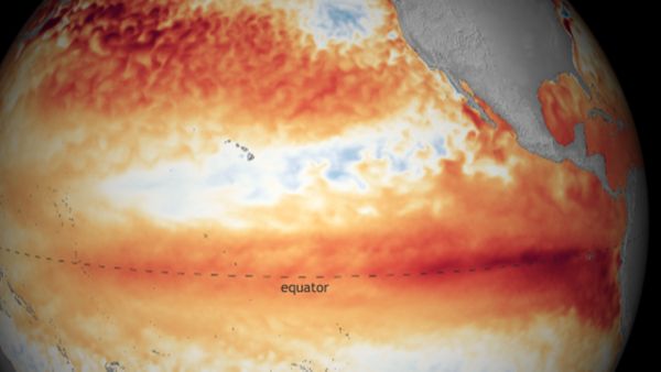 Big blob of hot water in Pacific may be making El Niño act weirdly_65689f94e2b46.jpeg