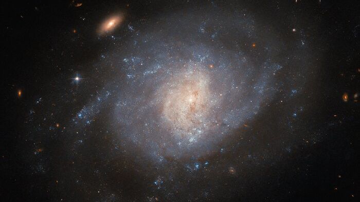 Hubble Space Telescope sees supernova wreckage in a hazy galaxy (image)_654a9e086376c.jpeg