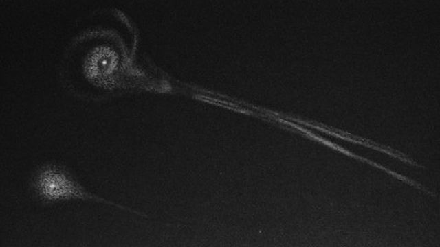 On This Day In Space: Nov. 27, 1885: Astronomer captures 1st known photo of a meteor_6564b0d2bec56.jpeg