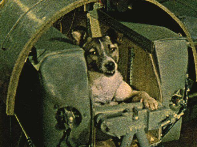 On This Day In Space: Nov. 3, 1957: Laika the dog launches with Sputnik 2_6544e9a902b35.jpeg