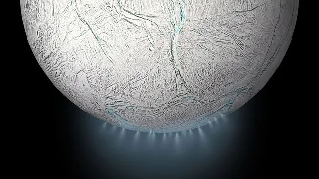 Finding life on Saturn’s moon Enceladus might be easier than we thought_6583e683a99b2.jpeg