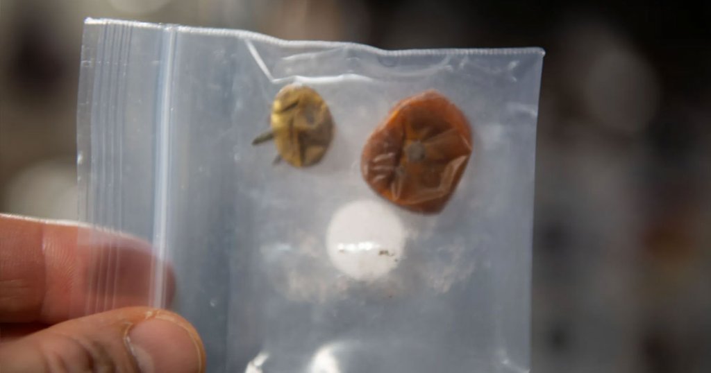 NASA Proudly Shows Off Desiccated Tomatos Lost in Space Station Crevice_6581b3151b3ea.jpeg