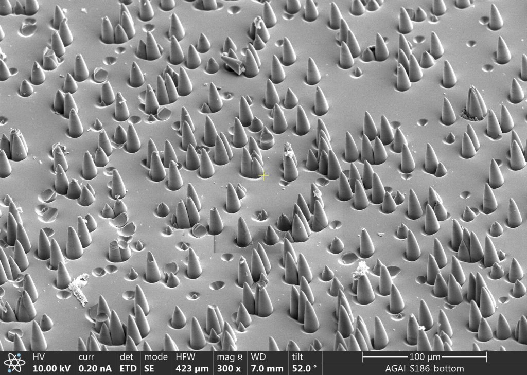 Image: Micro-world within an atomic clock_65a153d72440c.jpeg