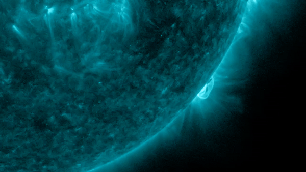 Watch 1st X-class solar flare of 2024 erupt from the sun in explosive fashion (video)_65c6451f1fd46.gif