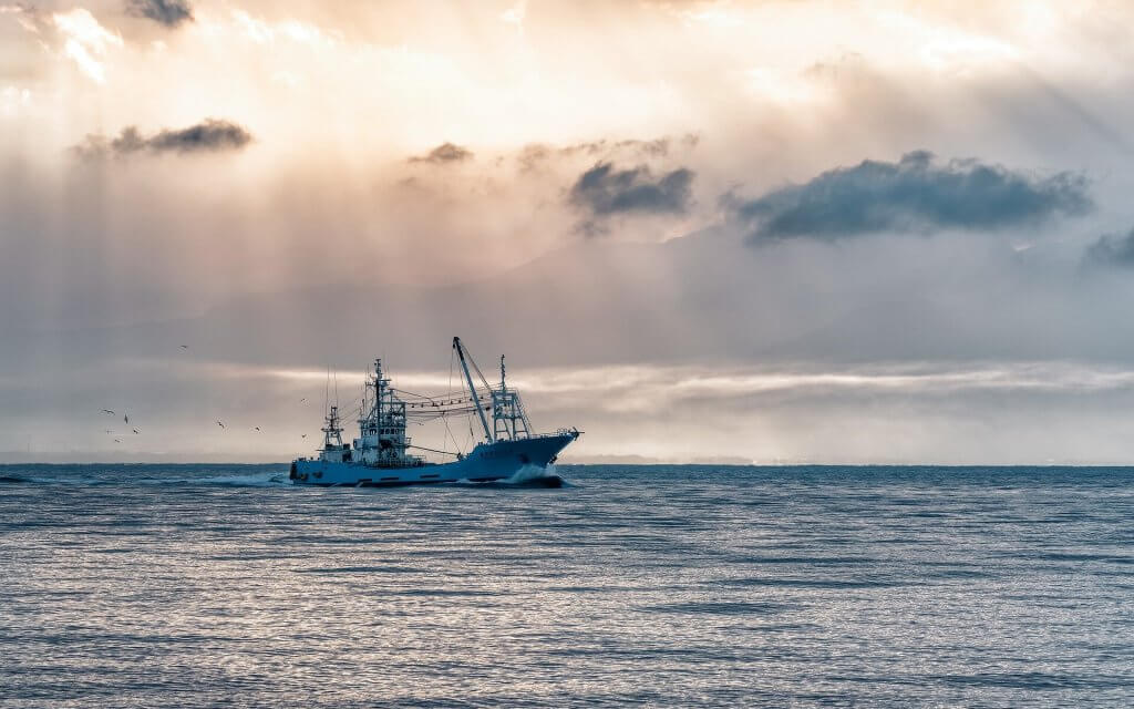 Researchers measure the cost of unsustainable industrial fishing on coastal communities—and it’s vast_6668665a66db3.jpeg