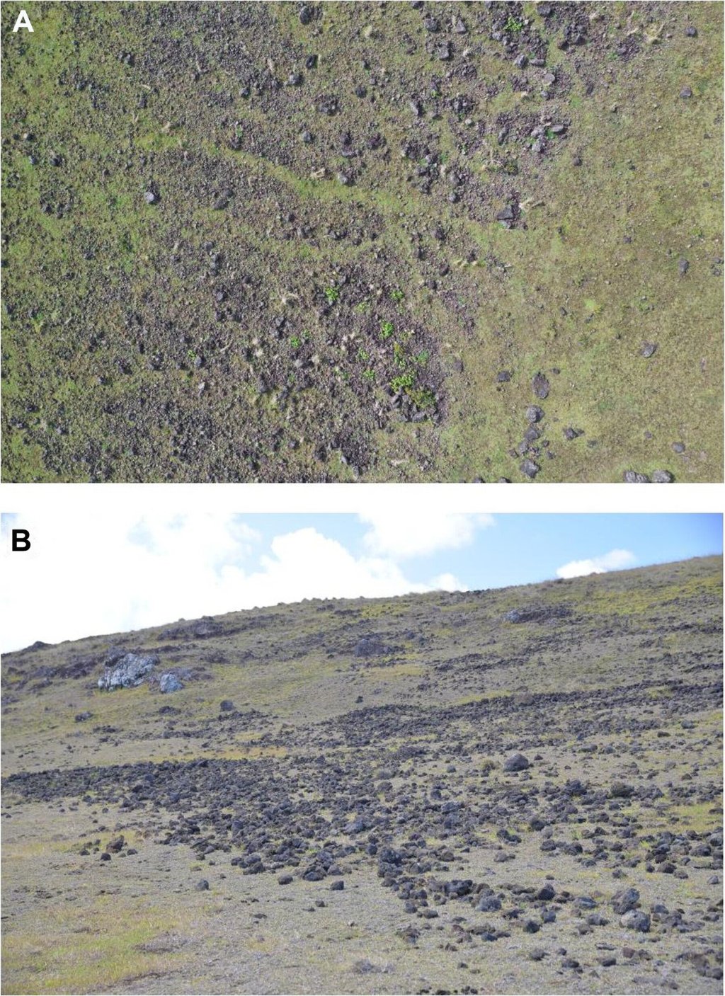 Rocks on Rapa Nui tell the story of a small, resilient population—not a doomed, overpopulated island_667adb6837d3d.jpeg