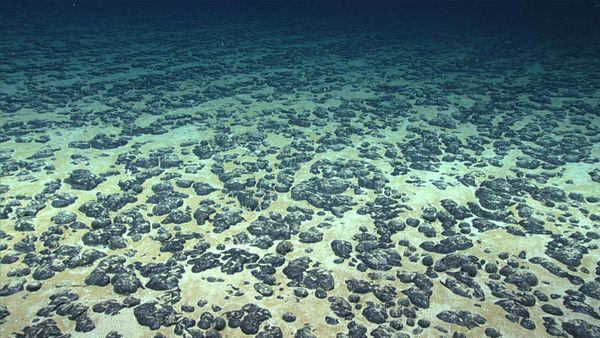 Discovery of ‘dark oxygen’ from deep-sea metal lumps could trigger rethink of origins of life_66a2d9126edff.jpeg