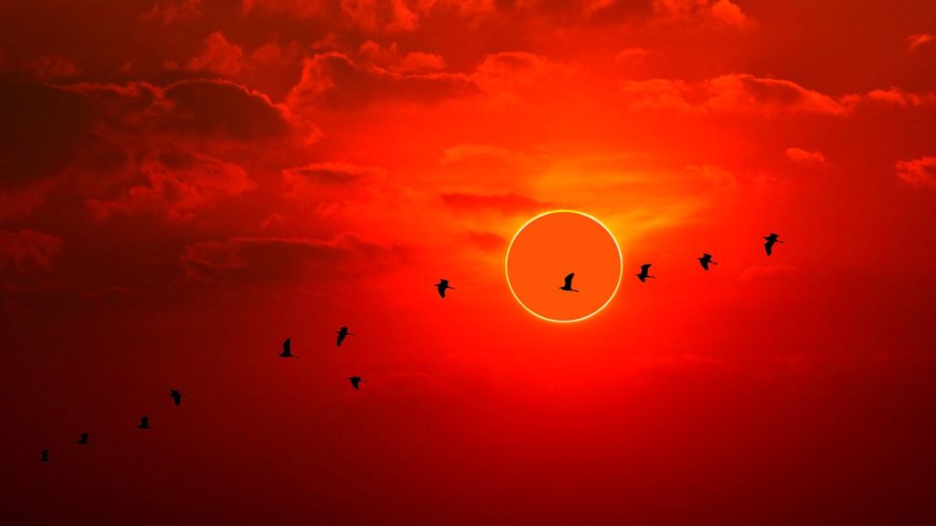 1 week until annular solar eclipse turns the sun into a dramatic ‘ring of fire’_66f418d28abfc.jpeg