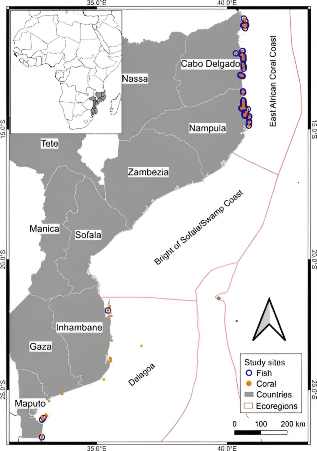 AI models identify marine biodiversity hotspots in Mozambique_66feb14dc34ad.jpeg