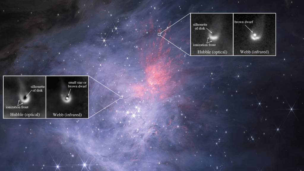 Can ‘failed stars’ have planets? James Webb Space Telescopes offers clues_6722e26fbb719.png