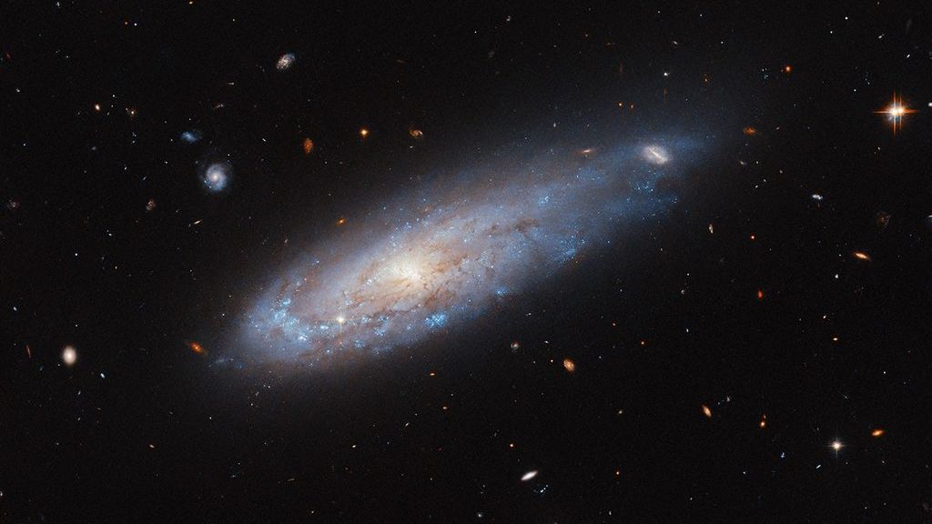 Distorted galaxy whizzes through crowded cluster in new Hubble Telescope image_67213c83d2dc3.jpeg