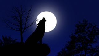 a large glowing silver sphere against a dark blue back drop. The shadow of a wolf or dog is cast on the sphere