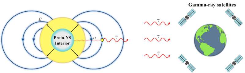 After a hot, compact neutron star forms from the collapsed iron core of a massive star, axions should be produced in immense quantities for about 10 seconds. Some of these axions (a, red dotted line) will be converted into gamma rays in the intense magnetic field of the star. A fleet of gamma-ray telescopes around Earth could detect these gamma rays, confirming the existence of axions and pinpointing the mass. Credit: Benjamin Safdi, UC Berkeley A nearby supernova could end the search for dark matter