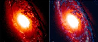 A side-by-side view of NGC 1386 in visible wavelengths (left), taken with the Hubble Space Telescope, and in radio (right), taken with the ALMA radio telescope. Both images highlight young star clusters where thousands of stars are being born. Dark wisps that are seen passing close to or ending in the star clusters are filaments ferrying star-forming material, such as molecular hydrogen.