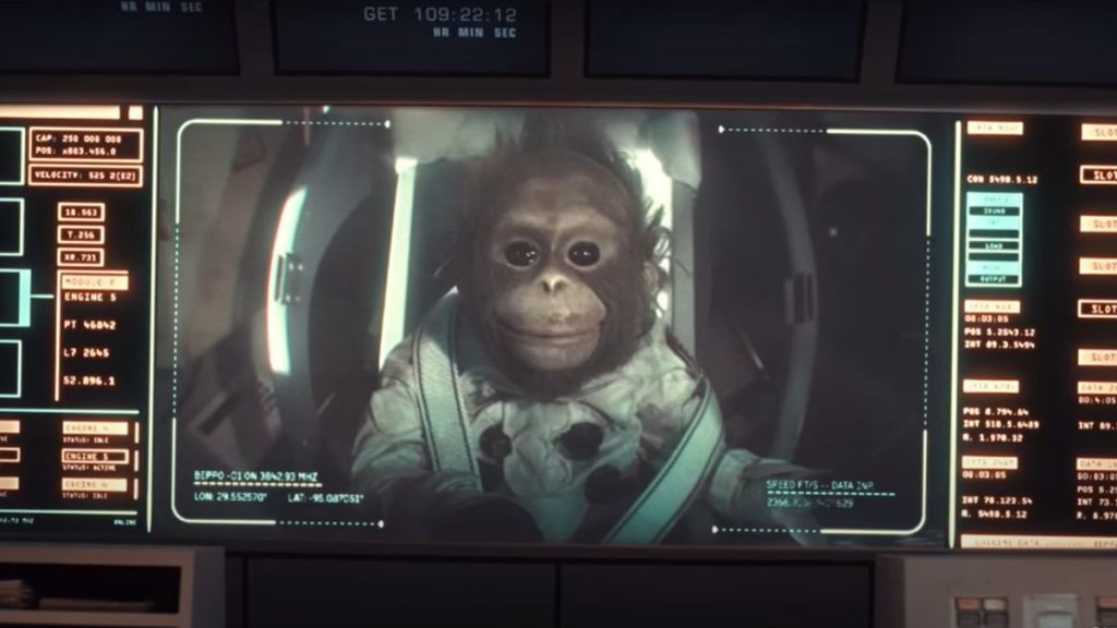 ‘Beppo go home?’ An astronaut monkey steals hearts in tear-jerking SNL skit_672d1a1d37f1f.jpeg