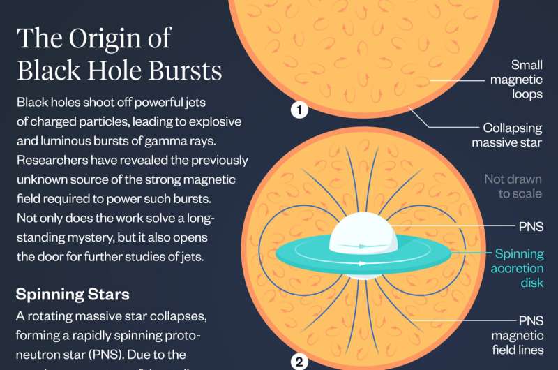 We finally know where black holes get their magnetic fields: Their parents