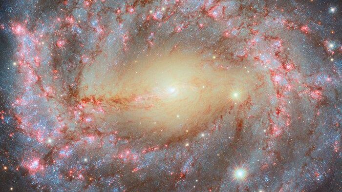 ‘Grand’ spiral galaxy dazzles in new Hubble Telescope photo_675aea0489b62.jpeg