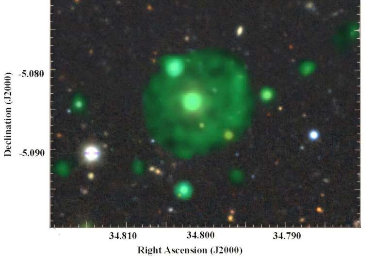 New odd radio circle discovered with MeerKAT