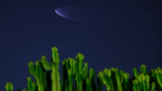 a cone-shaped blue cloud in the sky above green cacti