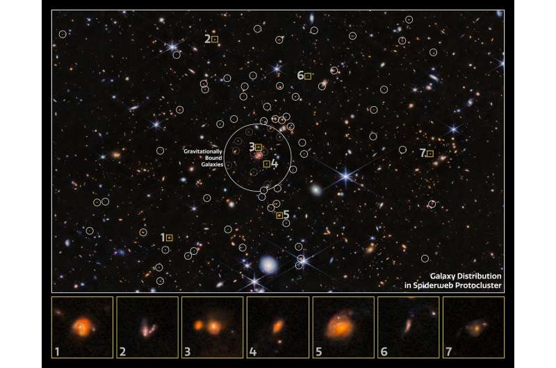 Webb finds surprises in Spiderweb protocluster field