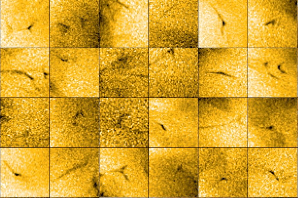 Solar Orbiter Captures Incredible Footage of Tiny Jets Near the Sun’s South Pole_67aa538de44b4.jpeg