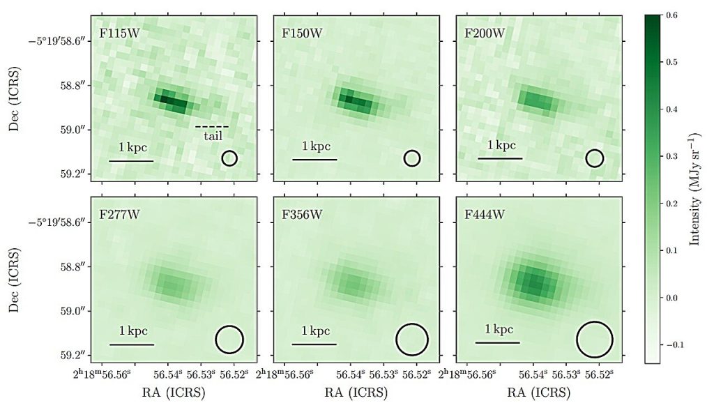 SXDF-NB1006-2 is a young starburst galaxy experiencing ionized gas outflows, observations find_690e71f438251.jpeg