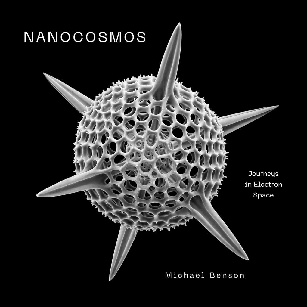a book cover for a title called Nanocosmos