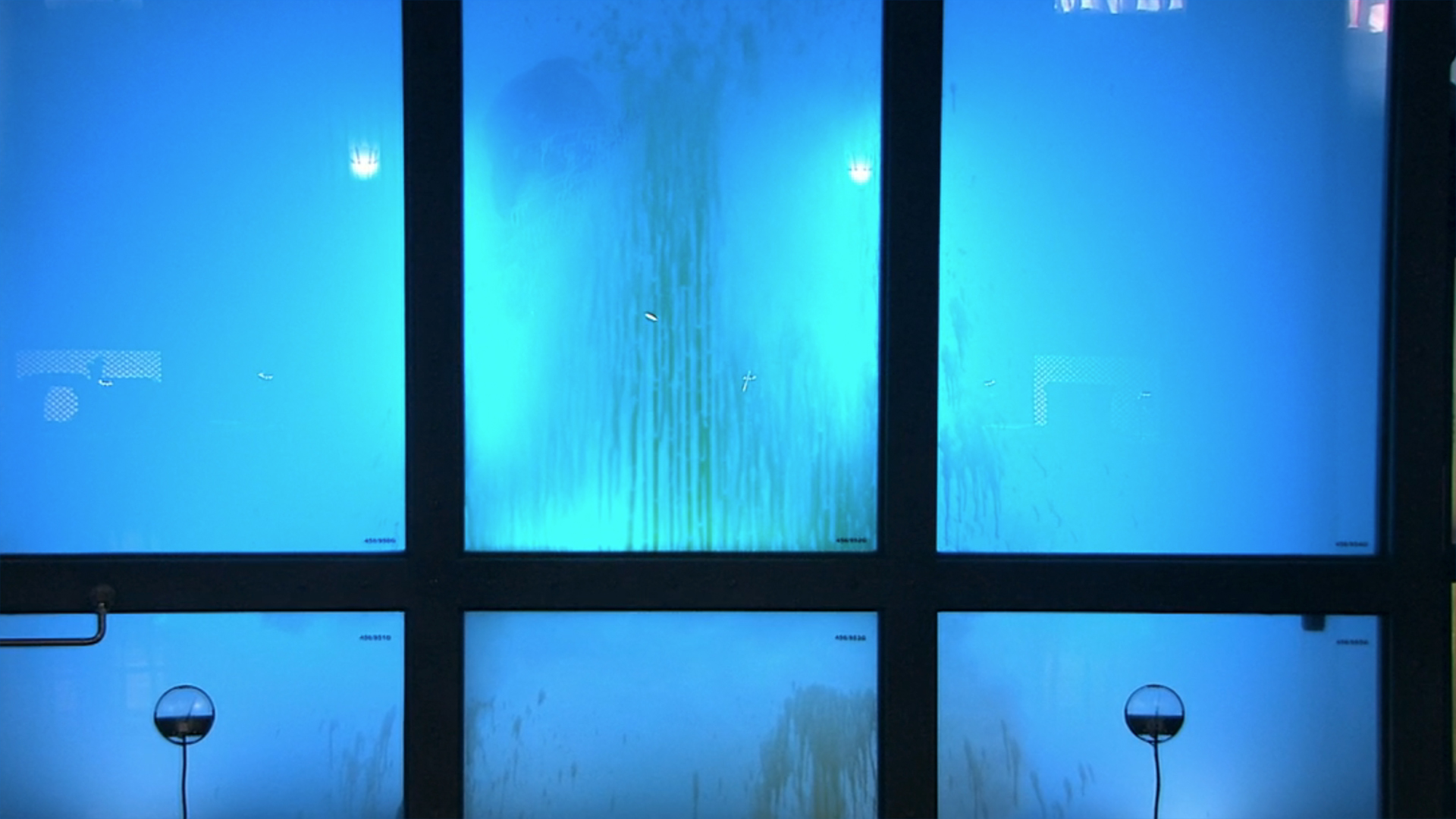 Screenshot from the 2009 mini-series Torchwood showing the 456, an alien creature, in a tank of water.