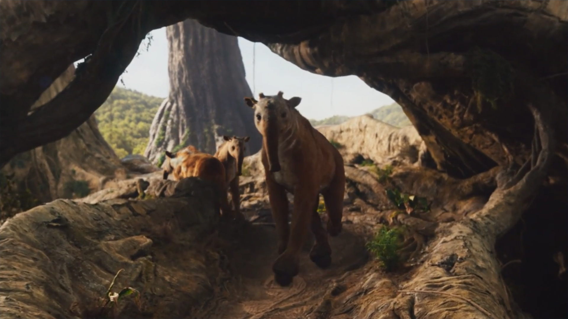 A Mulefa from His Dark Materials