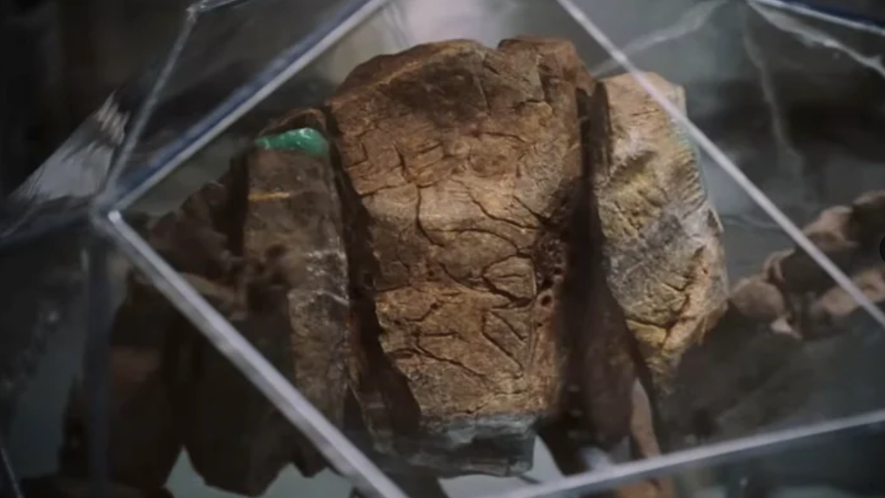 a weird stone-skinned alien in a glass enclosure